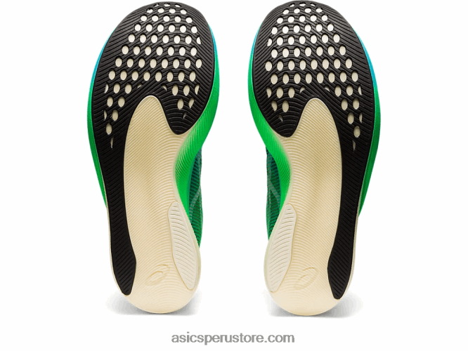 RPVB877 negro/hoja nueva Asics cielo de metavelocidad+