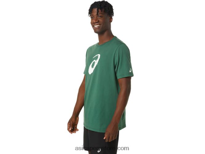 RPVB879 cazador verde Asics camiseta manga corta pincel