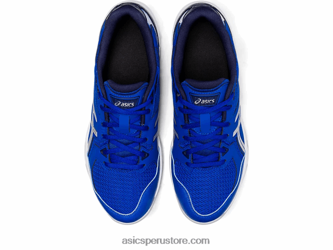 RPVB897 azul/plata pura Asics gel-cohete 10