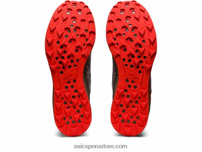 RPVB976 tomate negro/cherry Asics fujivelocidad