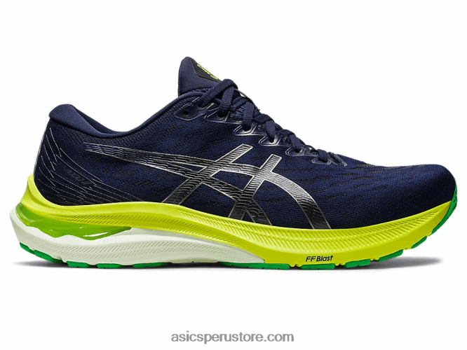 RPVB683 medianoche negro Asics gt-2000 11