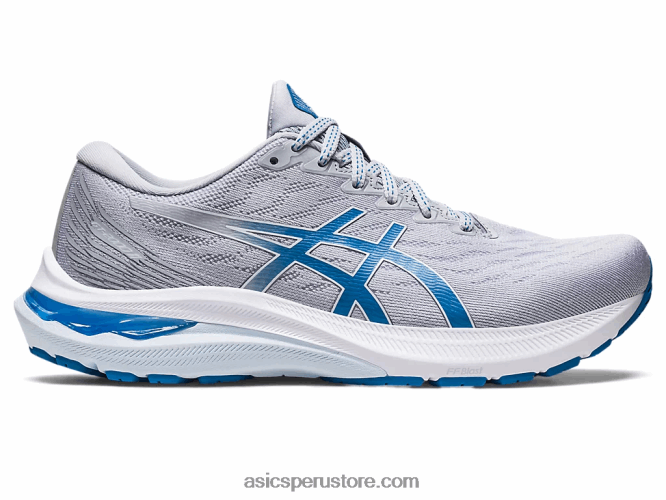RPVB2647 gris piedmont/azul renacido Asics gt-2000 11