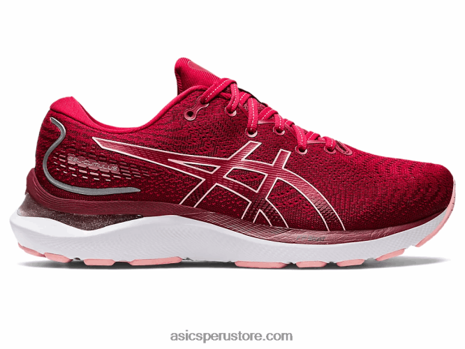RPVB2858 arándano/rosa helada Asics cúmulo de gel 24